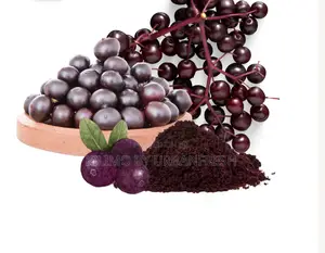 Acai Berry Extract 250g