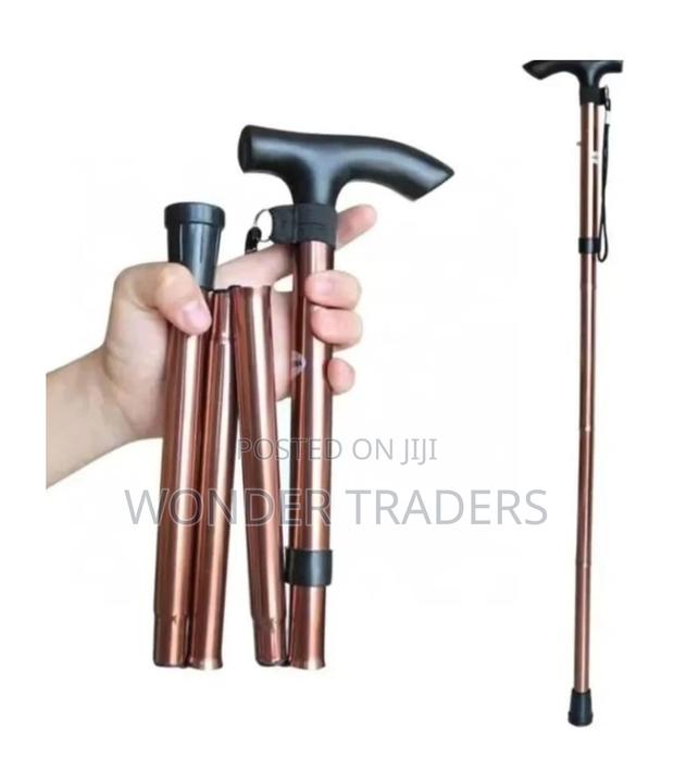 Foldable Walking Stick - main view