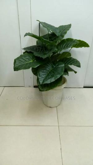 Plants Green and White Vases With Decorative Stones - thumbnail 2