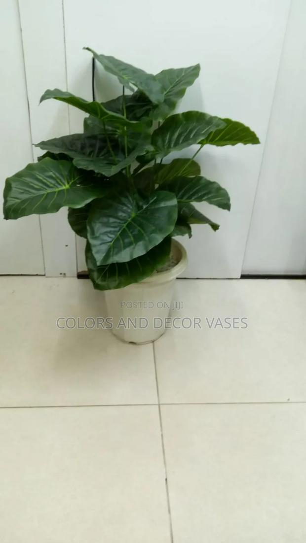 Plants Green and White Vases With Decorative Stones - thumbnail 3