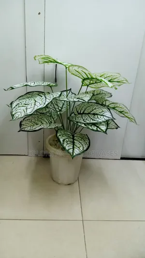 White Plant With White Vase