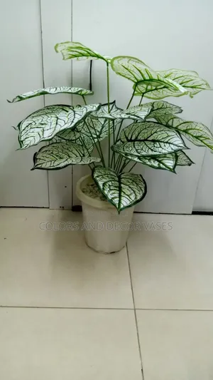 White Plant With White Vase