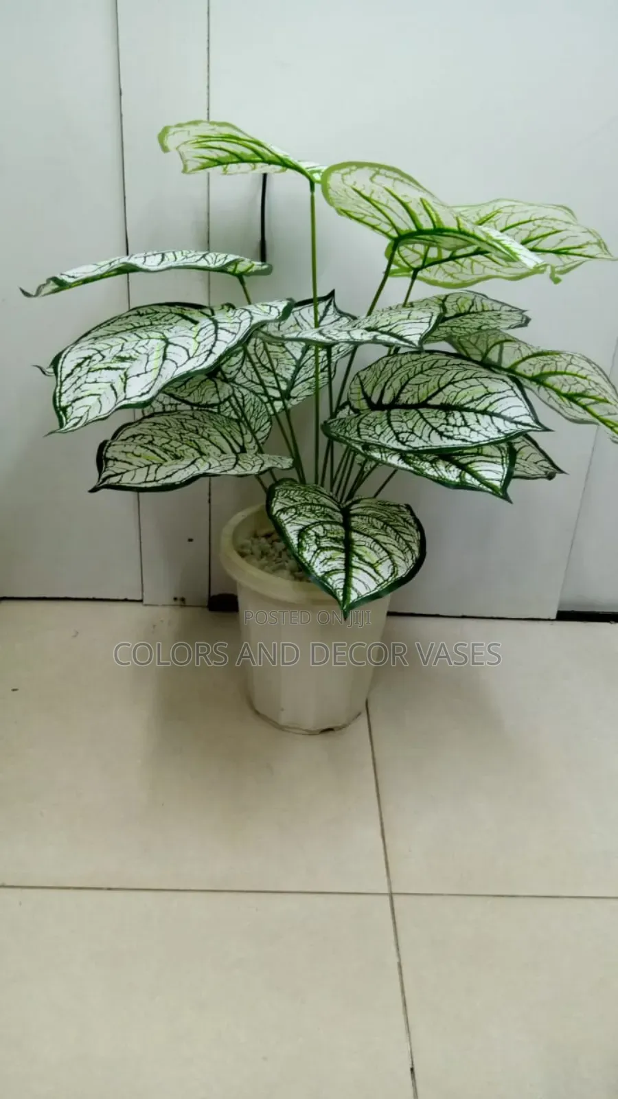 White Plant With White Vase
