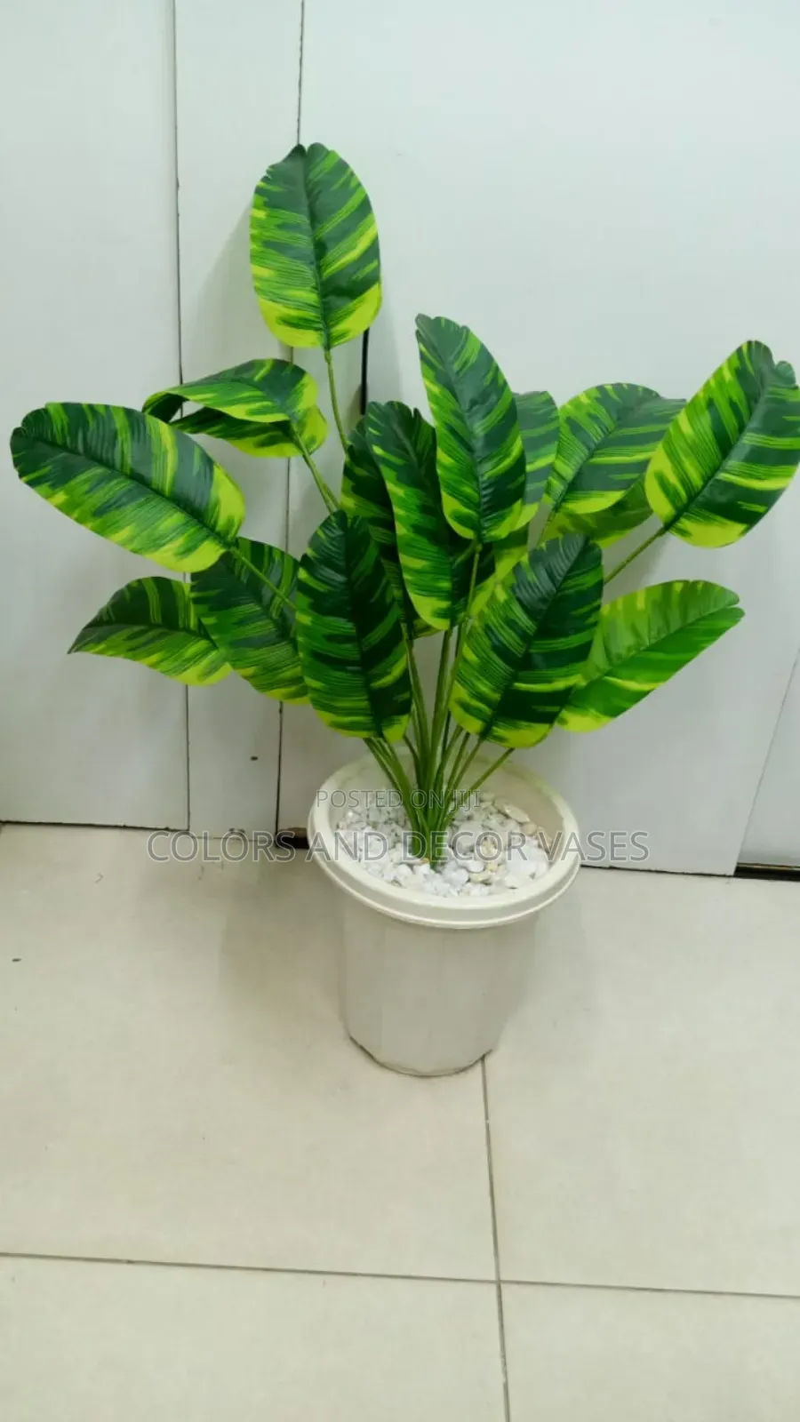 Stripped Banana Plant With Decorative Stones KSH 1500