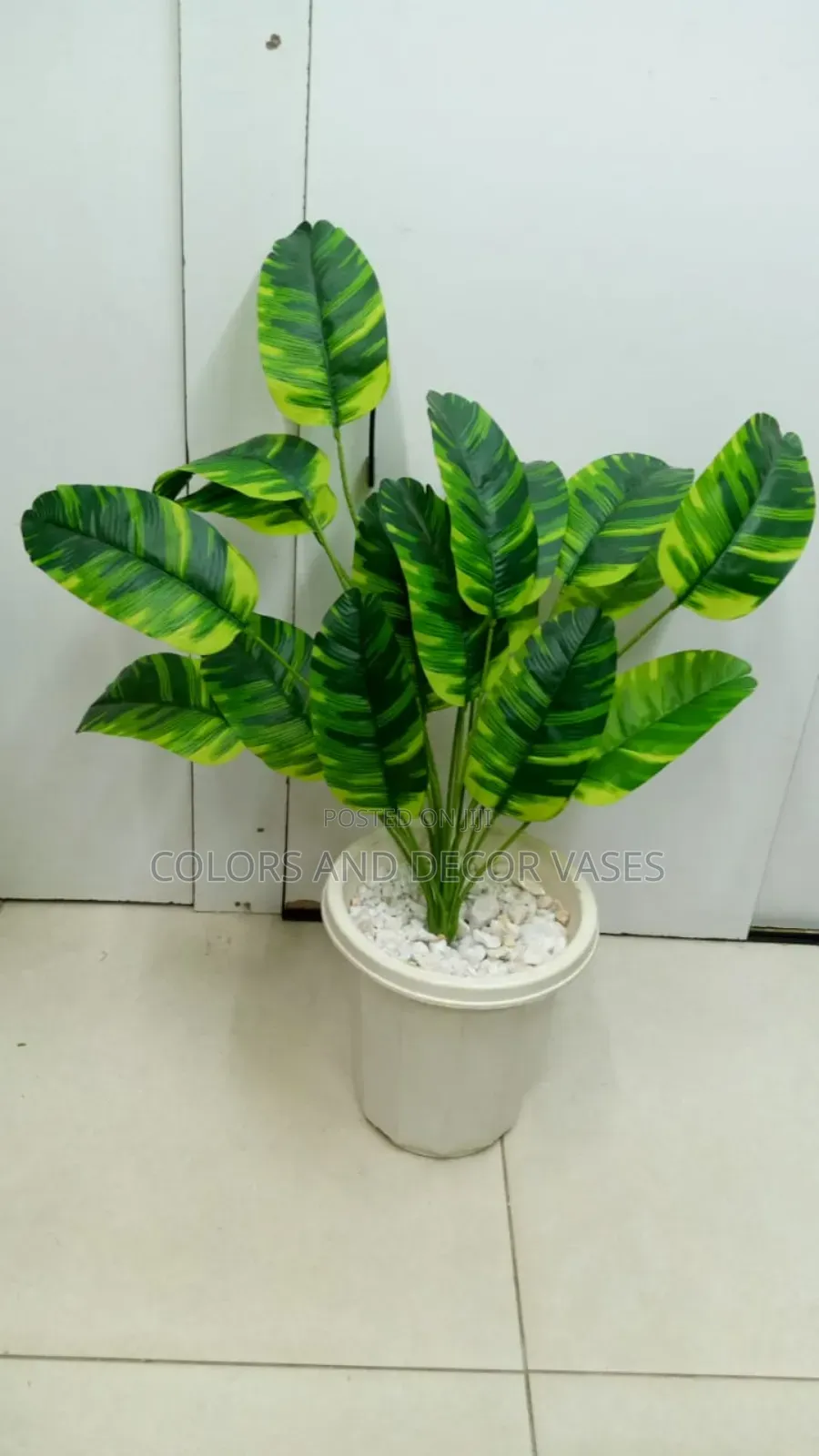 Stripped Banana Plant With Decorative Stones KSH 1500