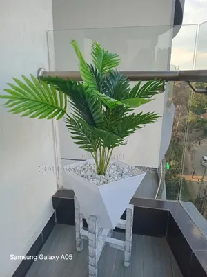 Vase With Decorative White Stones, Stand and Palm Tree
