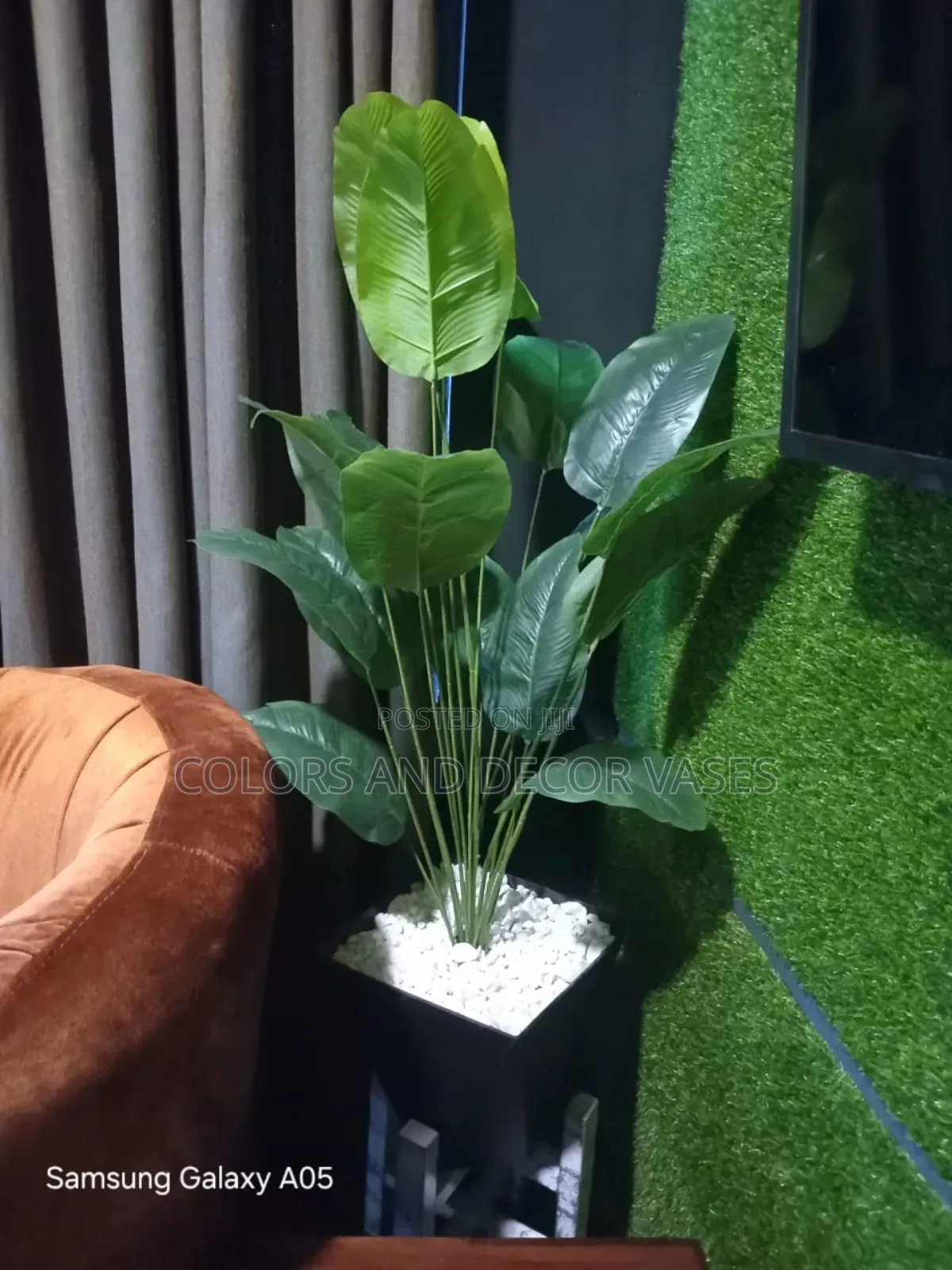 Black Vase With Banana Plant Affordable