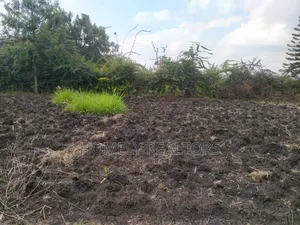 Residential Eighth Acre Plot in Ngong in Olkeri Near Tarmac