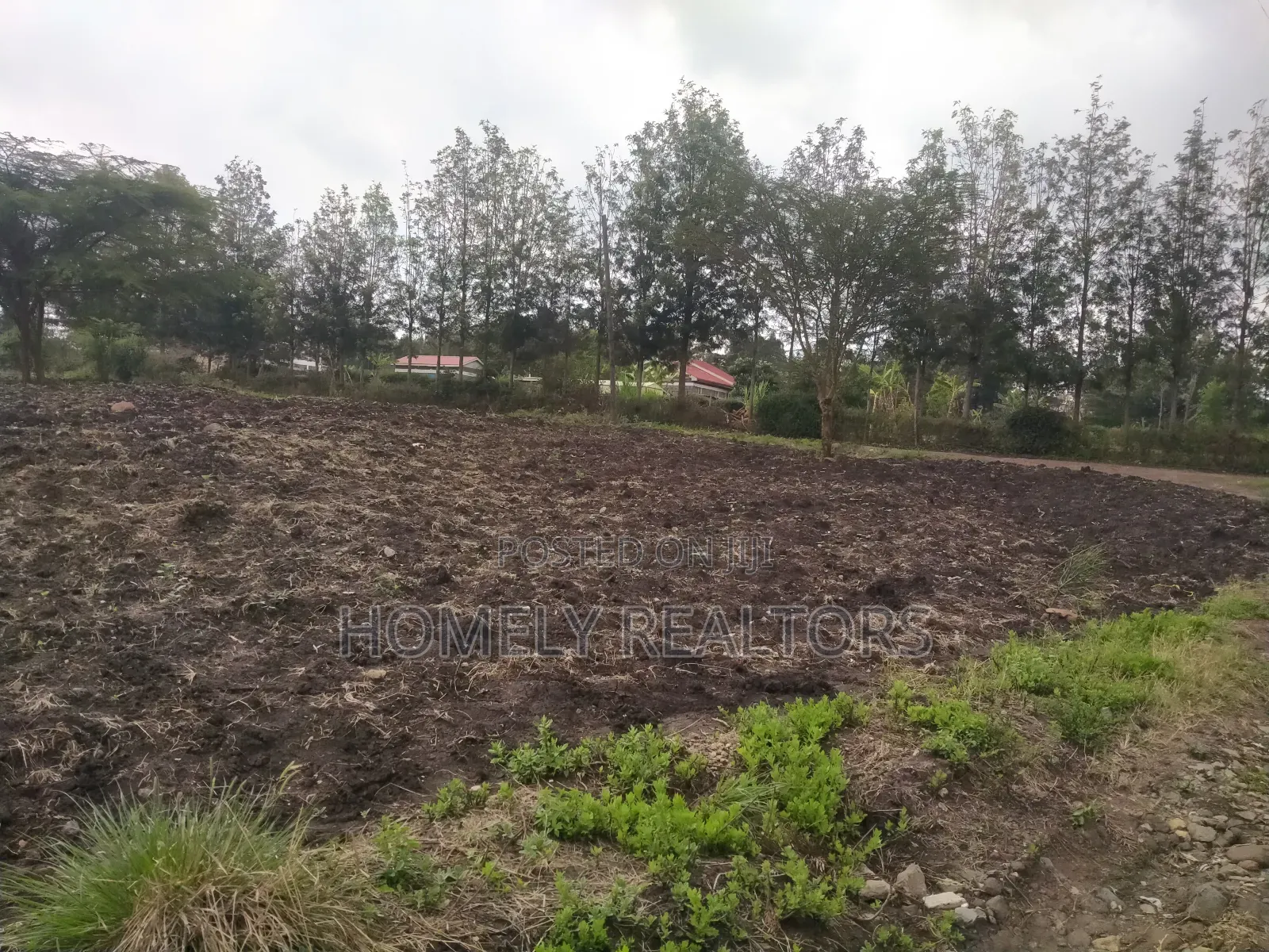 Half Acre Plot in Ngong Along Merisho Road, Near the Tarmac