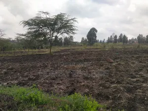 Half Acre Plot in Ngong Along Merisho Road, Near the Tarmac