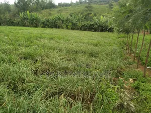 Half Acre Piece of Land in Ngong, Matasia Along Merisho Road