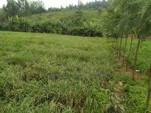 Half Acre Piece of Land in Ngong, Matasia Along Merisho Road