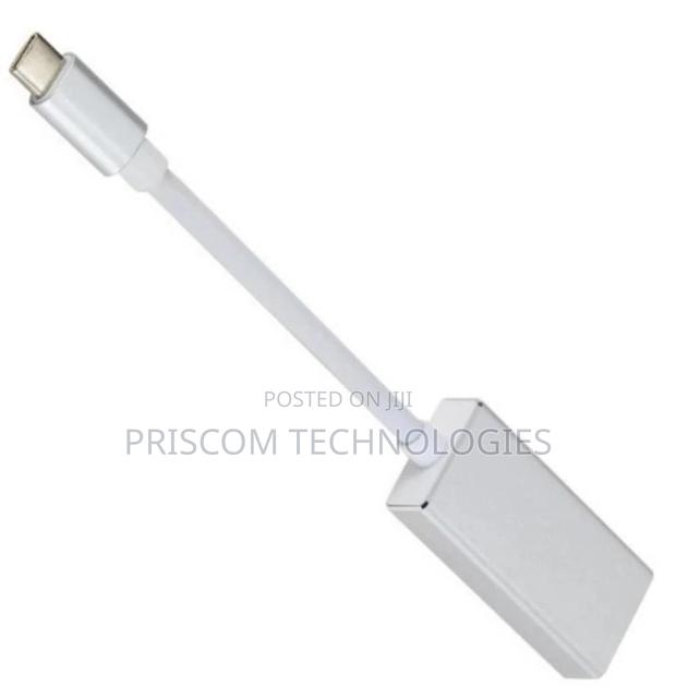 Type C To Displayport Converter Adapter, USB-C To Displaypor