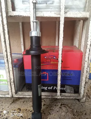 Ozone Shock Absorber
