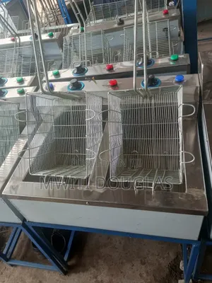 Best Quality Double Chips Fryer