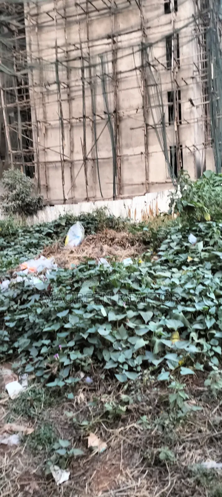 100x100 PLOT - RUAKA