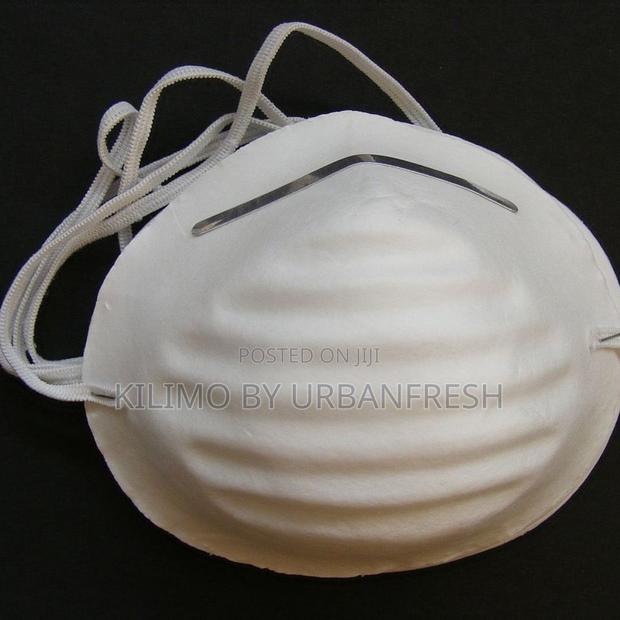 Dust Mask (Original) - main view