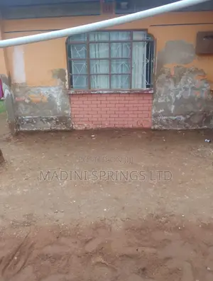 Mapelastic Foundation( Best for Alkali/Salty Water Areas)