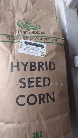 Hybrid Yellow Corn Seed - 2kg