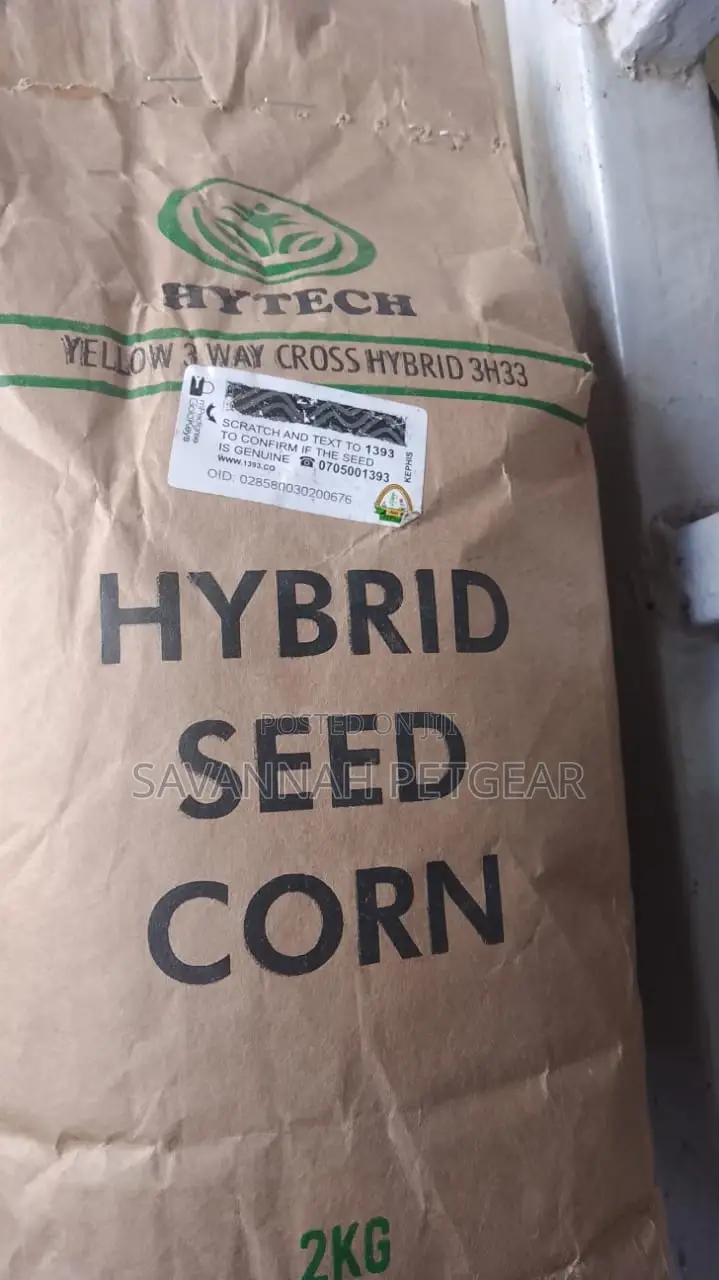 Hybrid Yellow Corn Seed - 2kg