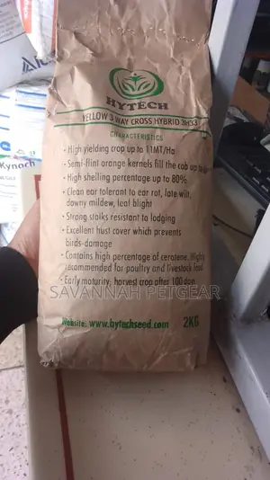 Hybrid Yellow Corn Seed - 2kg