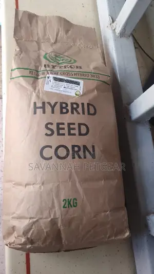 Hybrid Yellow Corn Seed - 2kg
