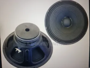 BM 15az-2 Midrange Naked Speaker