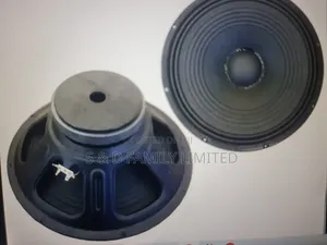 BM 15az-2 Midrange Naked Speaker