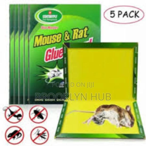 Rat Traps 5 Pack Rat Traps