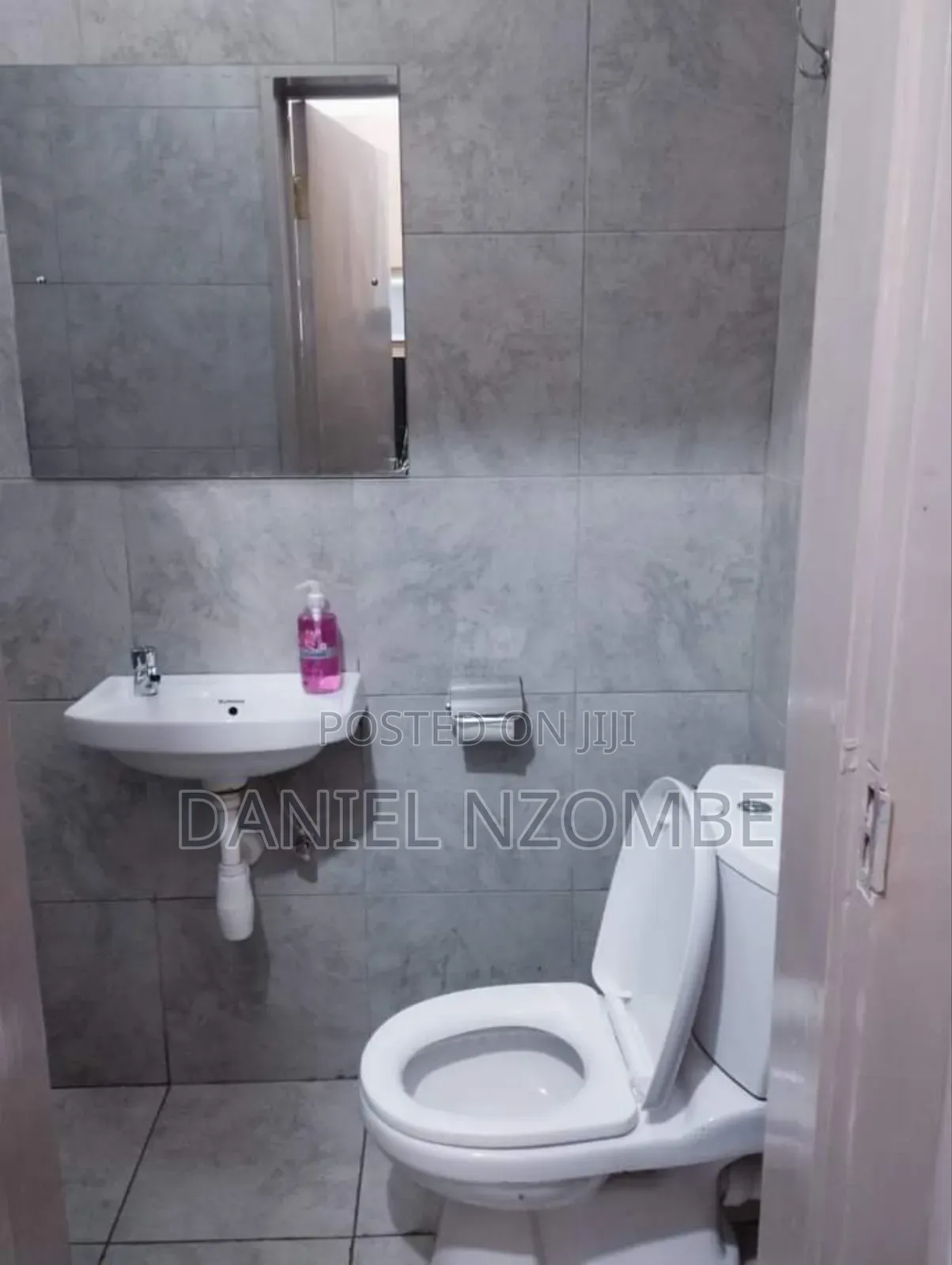 Furnished Studio Apartment in Fedha for rent