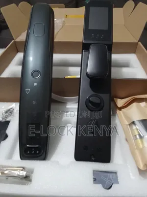 No Strangers Access Smart Face Recognition Locks
