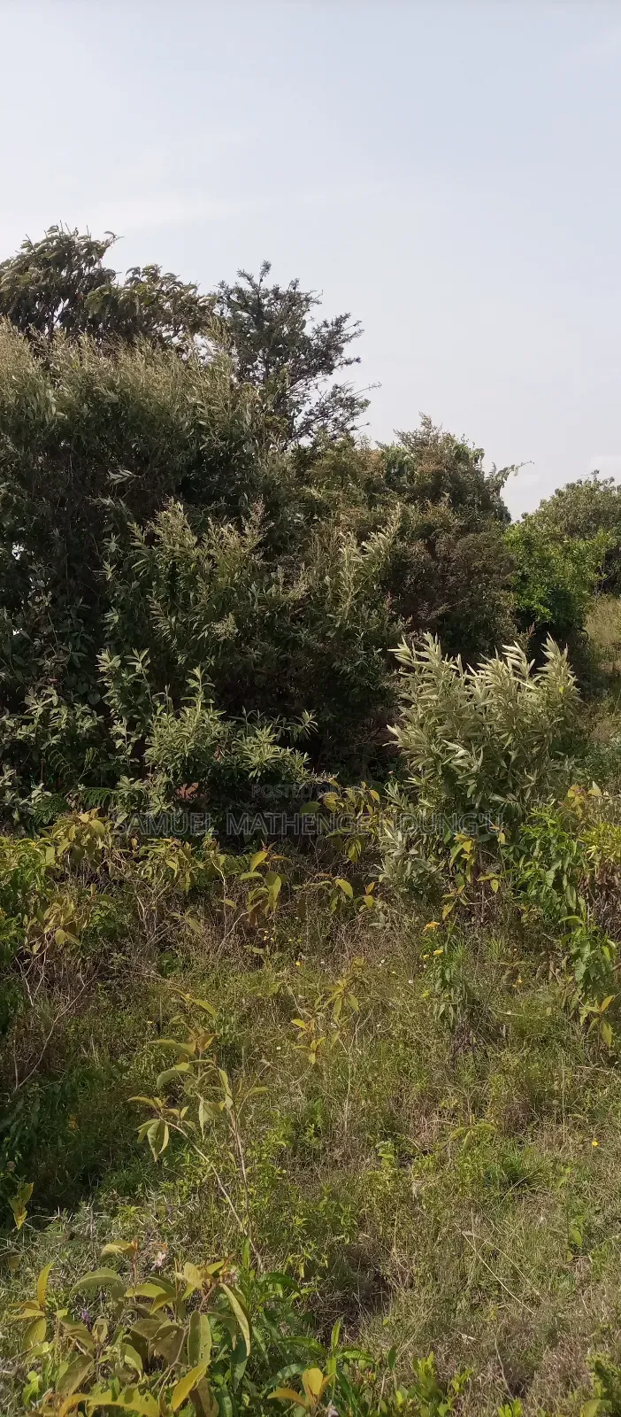 1 Acre of Land for Sale Gilgil