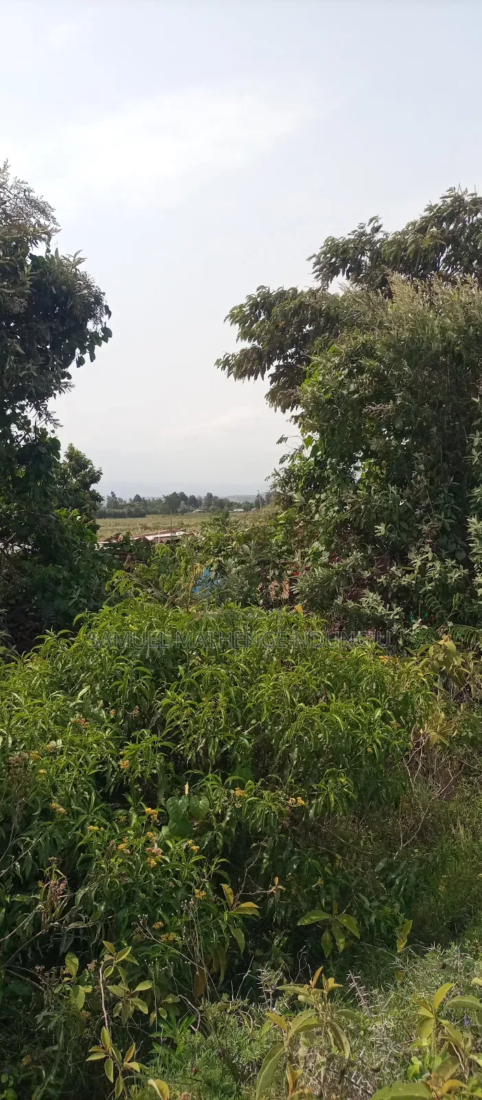1 Acre of Land for Sale Gilgil