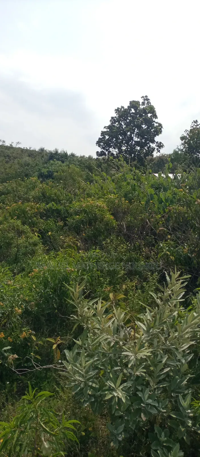 1 Acre of Land for Sale Gilgil