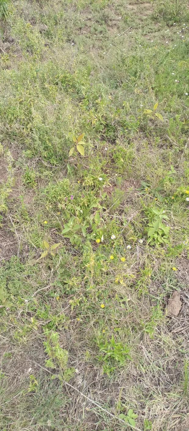 1 Acre of Land for Sale Gilgil - thumbnail 4