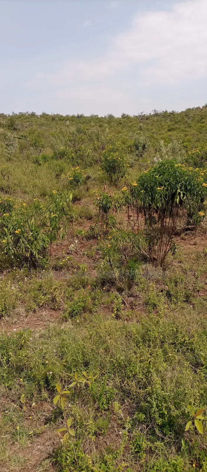 1 Acre of Land for Sale Gilgil