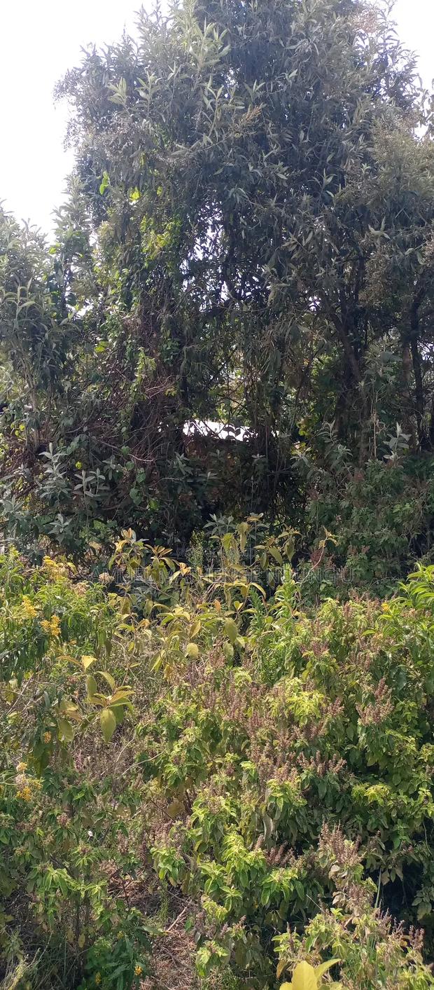 1 Acre of Land for Sale Gilgil - thumbnail 9