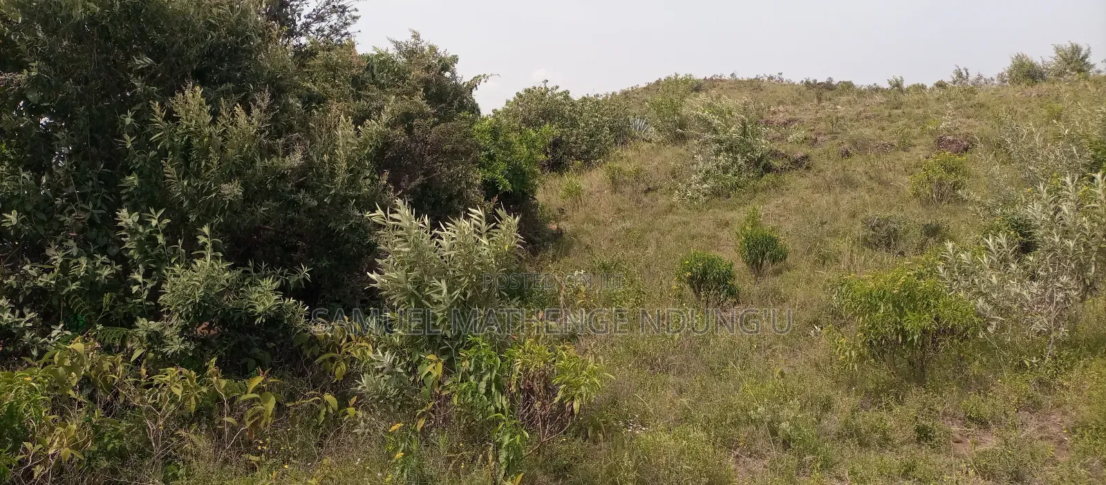 1 Acre of Land for Sale Gilgil
