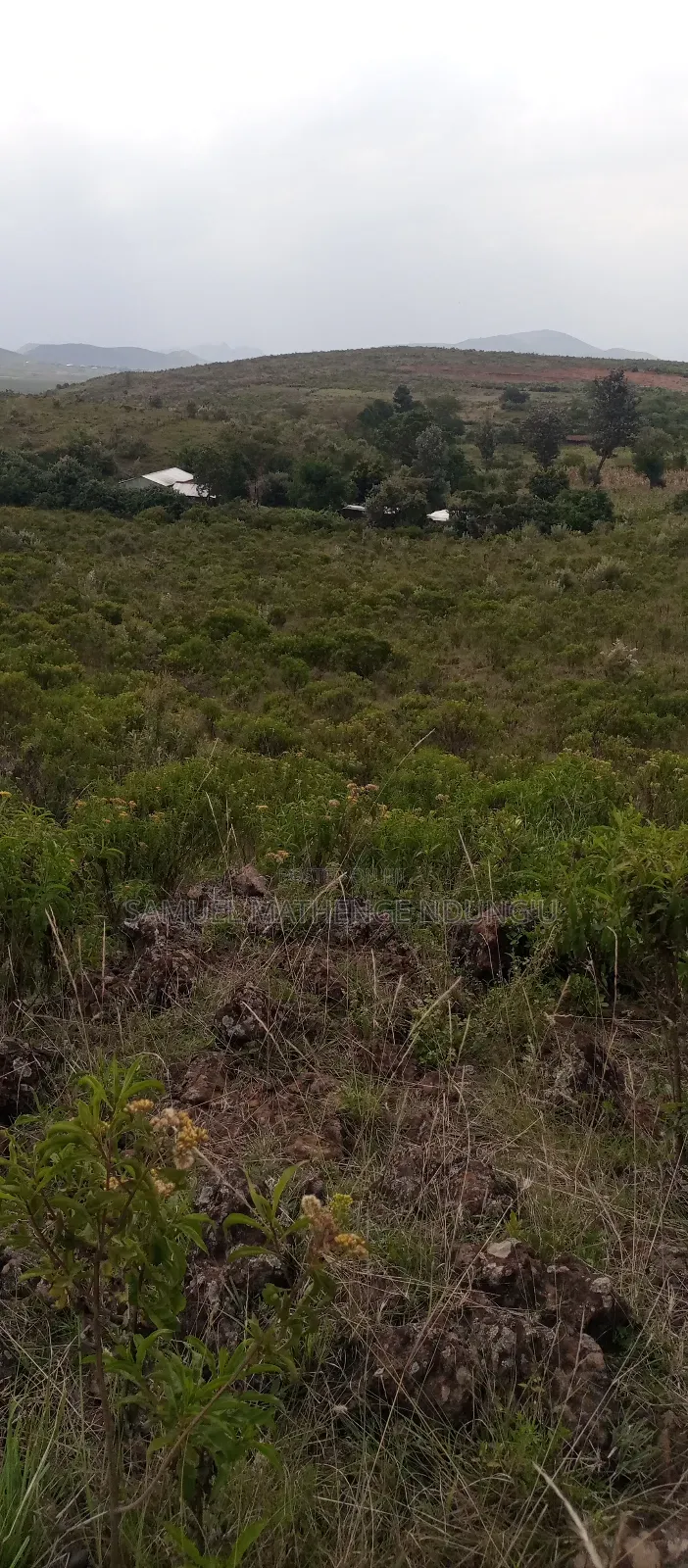 1 Acre of Land for Sale Gilgil
