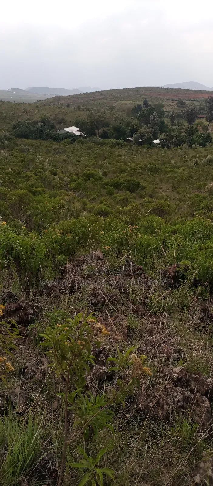 1 Acre of Land for Sale Gilgil