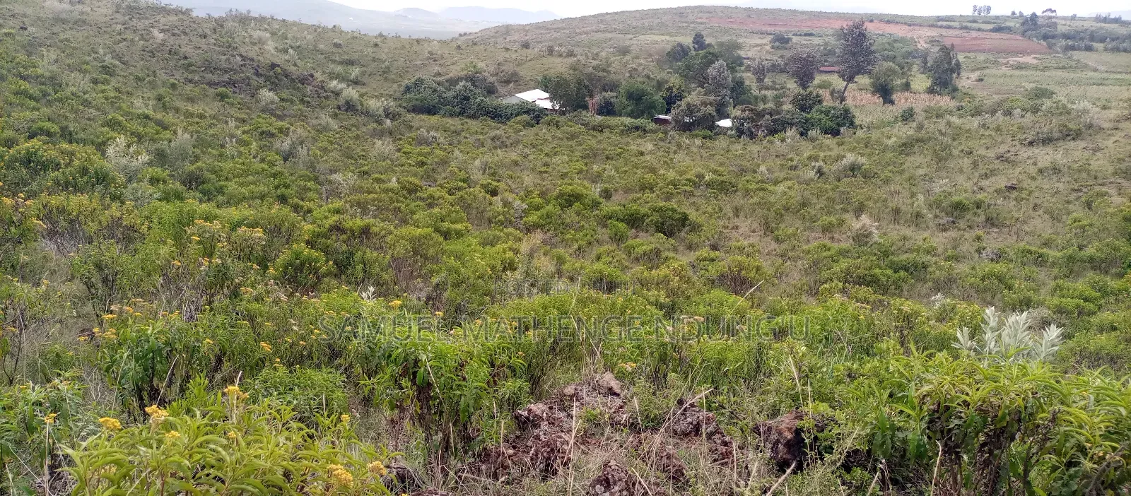 1 Acre of Land for Sale Gilgil