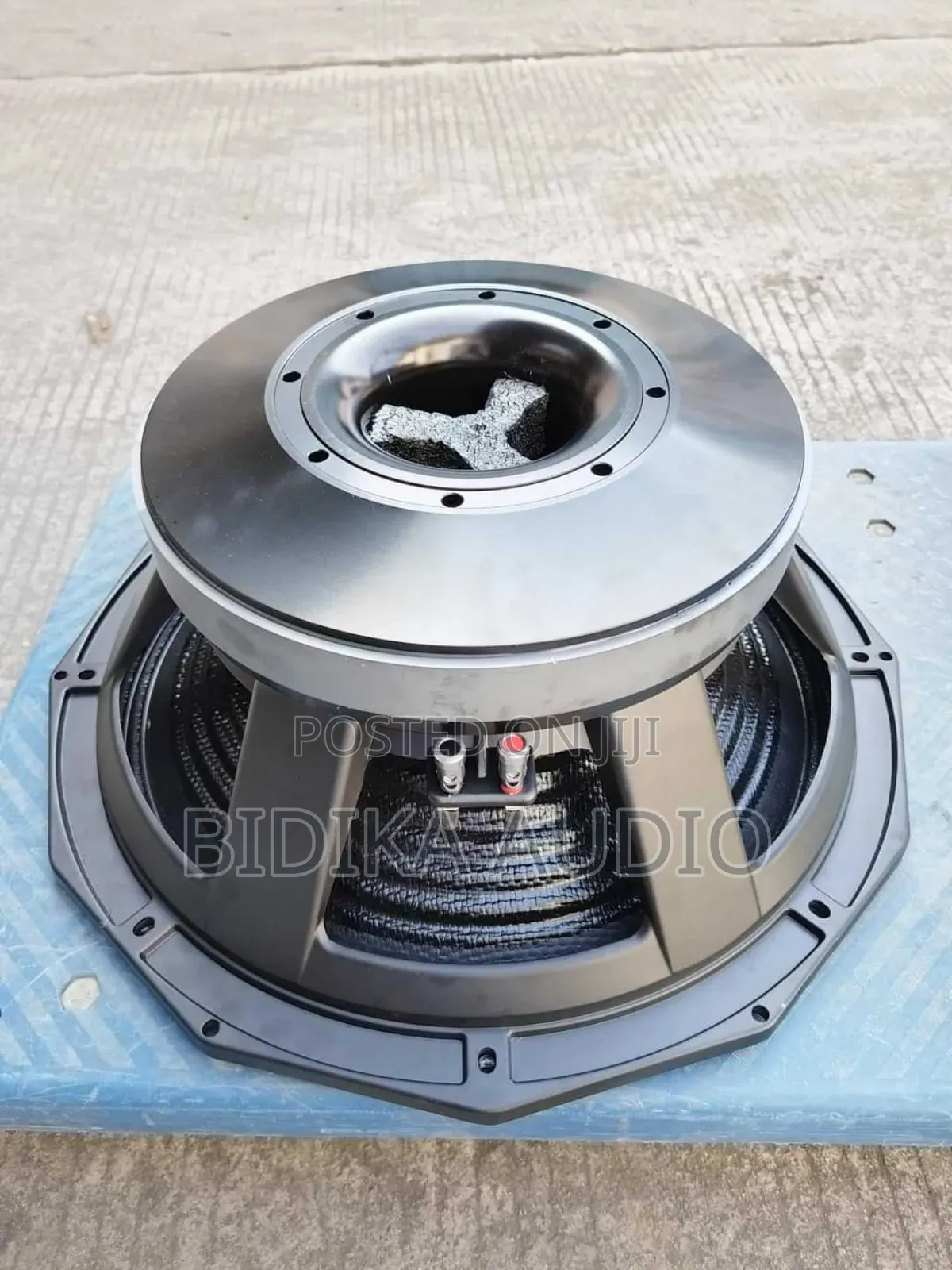 RCF 18 Inch Bass Public Address Speaker