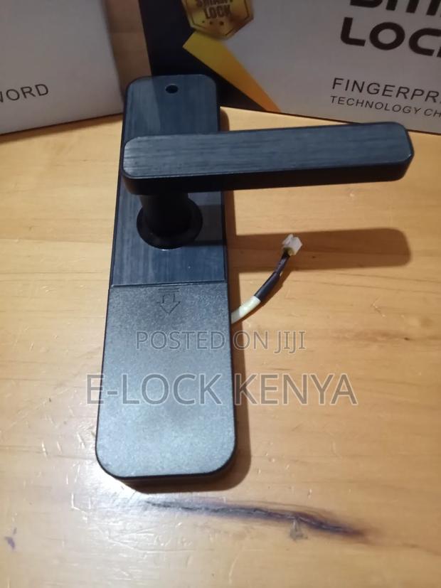 High Profile Office Biometric Door Locks