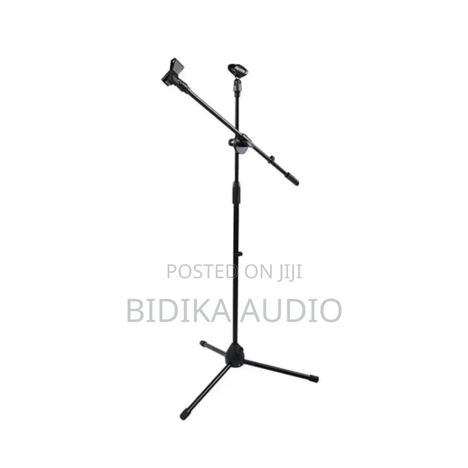 Professional Mic Stand