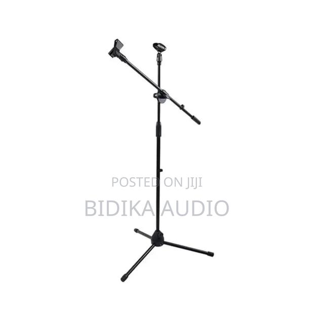 Professional Mic Stand