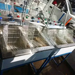 Top Ranked Electric Double Fryer,