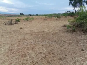 Prime 50 by 100 Plot for Sale in Gwakun'gu Mbuyu