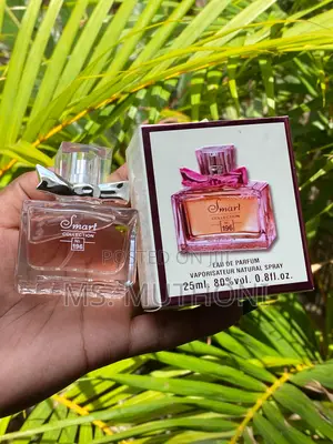 Smart Collection Mini Perfumes