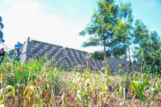 Prime 1/4-Acre Residential Plot for Sale Kikuyu, Thamanda - thumbnail 3