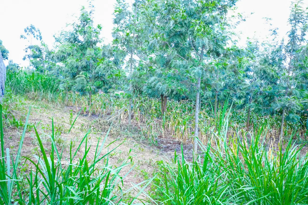 Prime 1/4-Acre Residential Plot for Sale Kikuyu, Thamanda